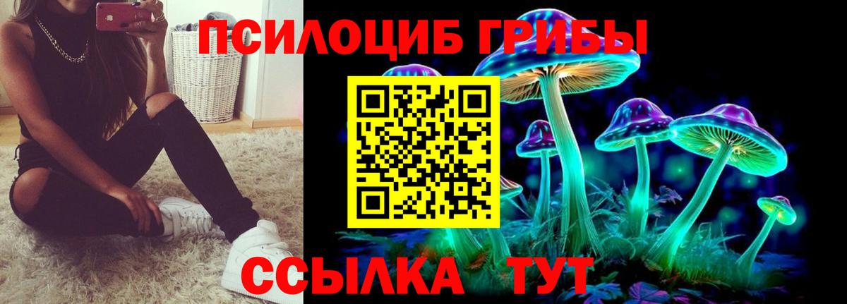 Галлюциногенные грибы мицелий Благодарный