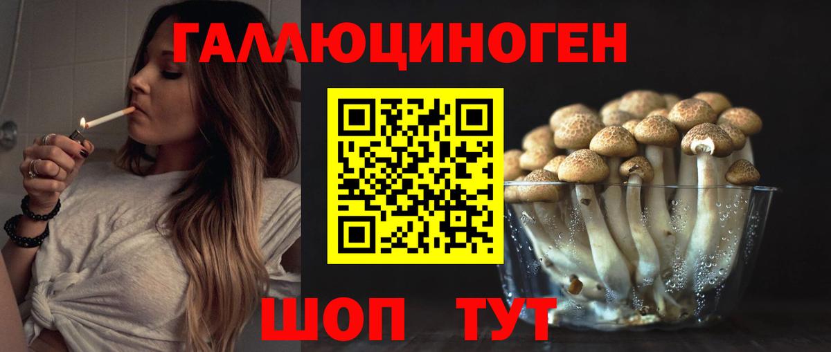 Псилоцибиновые грибы Благодарный