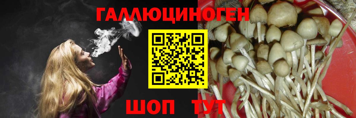 МАРИХУАНА  A PVP СК   NBOMe  Благодарный  МЕФ кристаллы  Вход с VPN  Меф МЯУ МЯУ  Купить закладку  Cocaine 