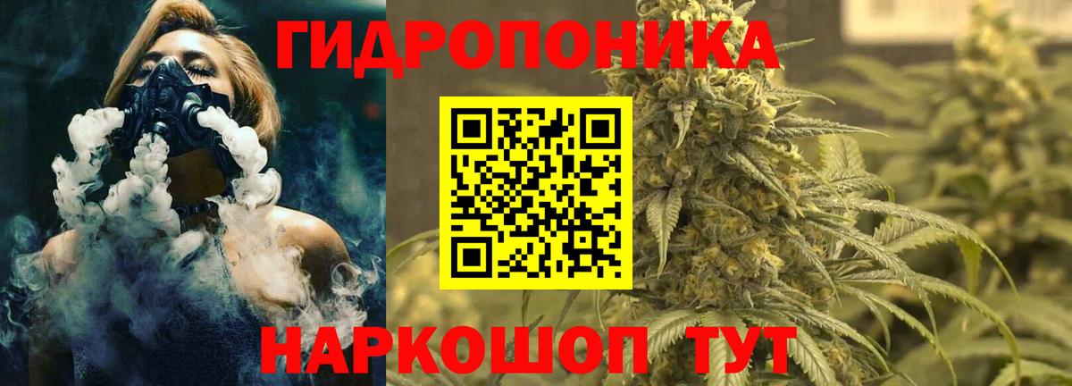 Канабис план Благодарный
